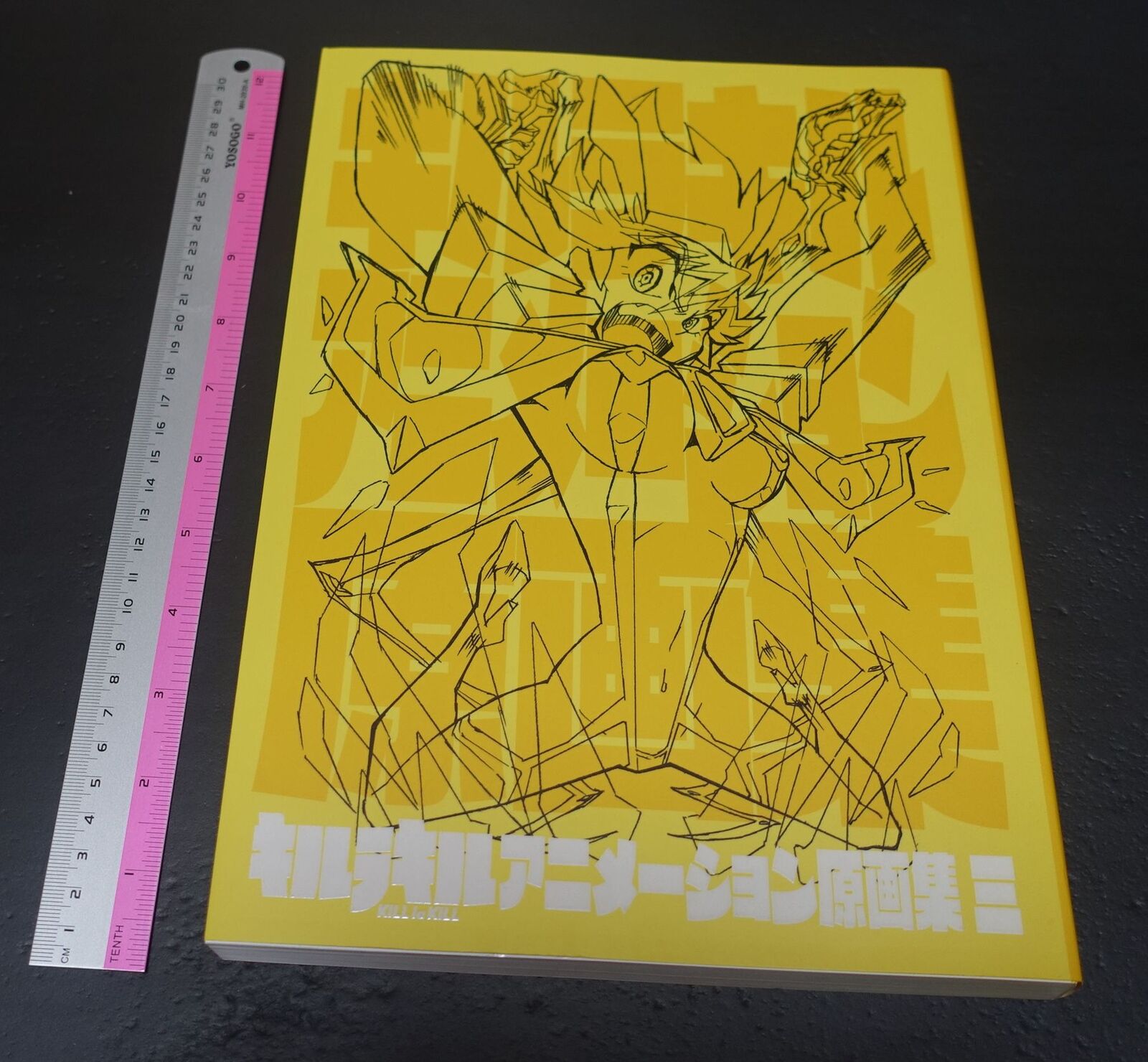 TRIGGER KILL la KILL Key Frame Art Material Art Collection vol.3 360page 