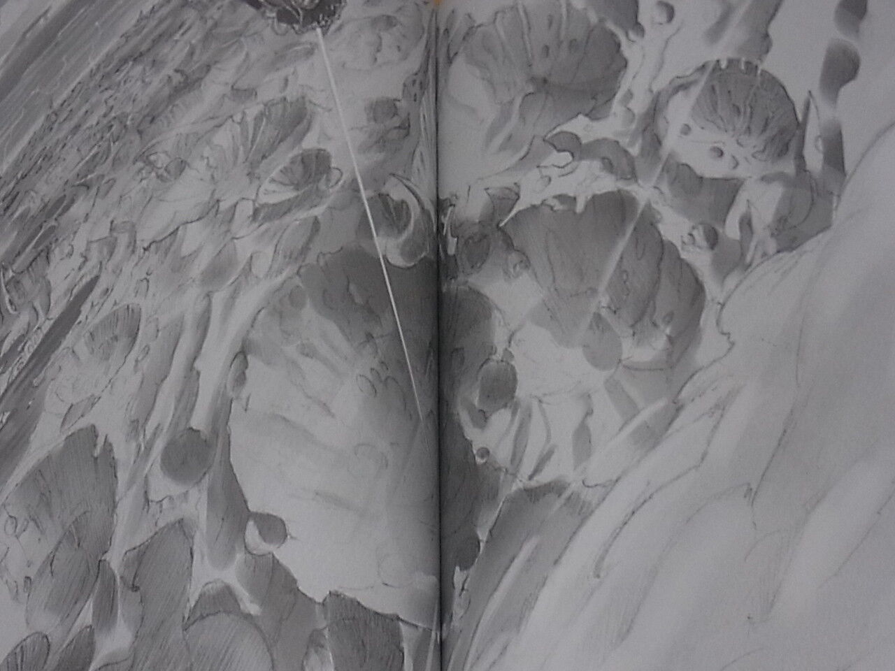 Akihito Tsukushi Original Comic from star strings 