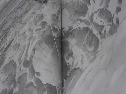 Akihito Tsukushi Original Comic from star strings 