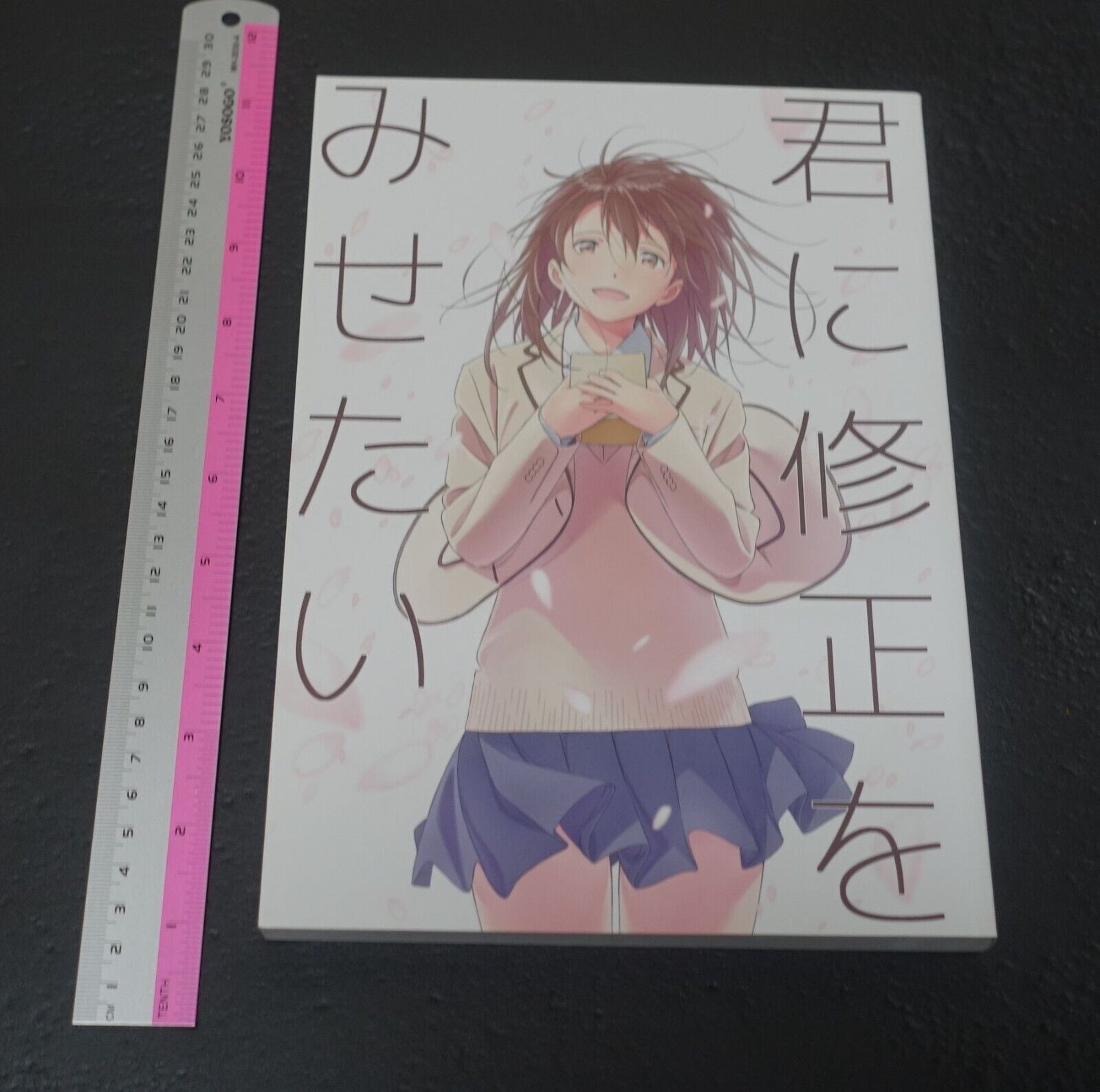 Yuichi Oka Animation I Want to Eat Your Pancreas Key Frame Revision Work Book 