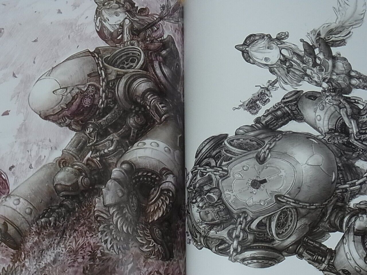 Akihito Tsukushi Doorbeetle Art Book Kaze no Sanagi 