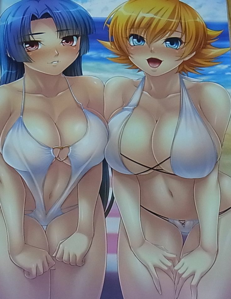 TAIMANIN ASAGI BATTLE ARENA CHARACTER VISUAL BOOK 4 NINJA GIRL 