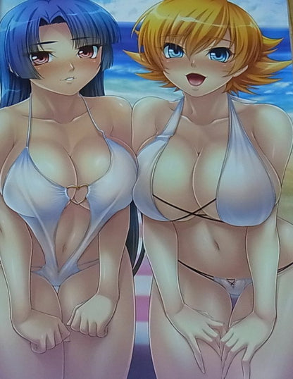 TAIMANIN ASAGI BATTLE ARENA CHARACTER VISUAL BOOK 4 NINJA GIRL 