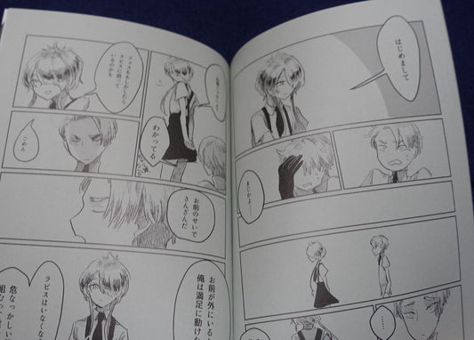 Houseki no Kuni Land of the Lustrous Fan Made Comic miss you and appearance 