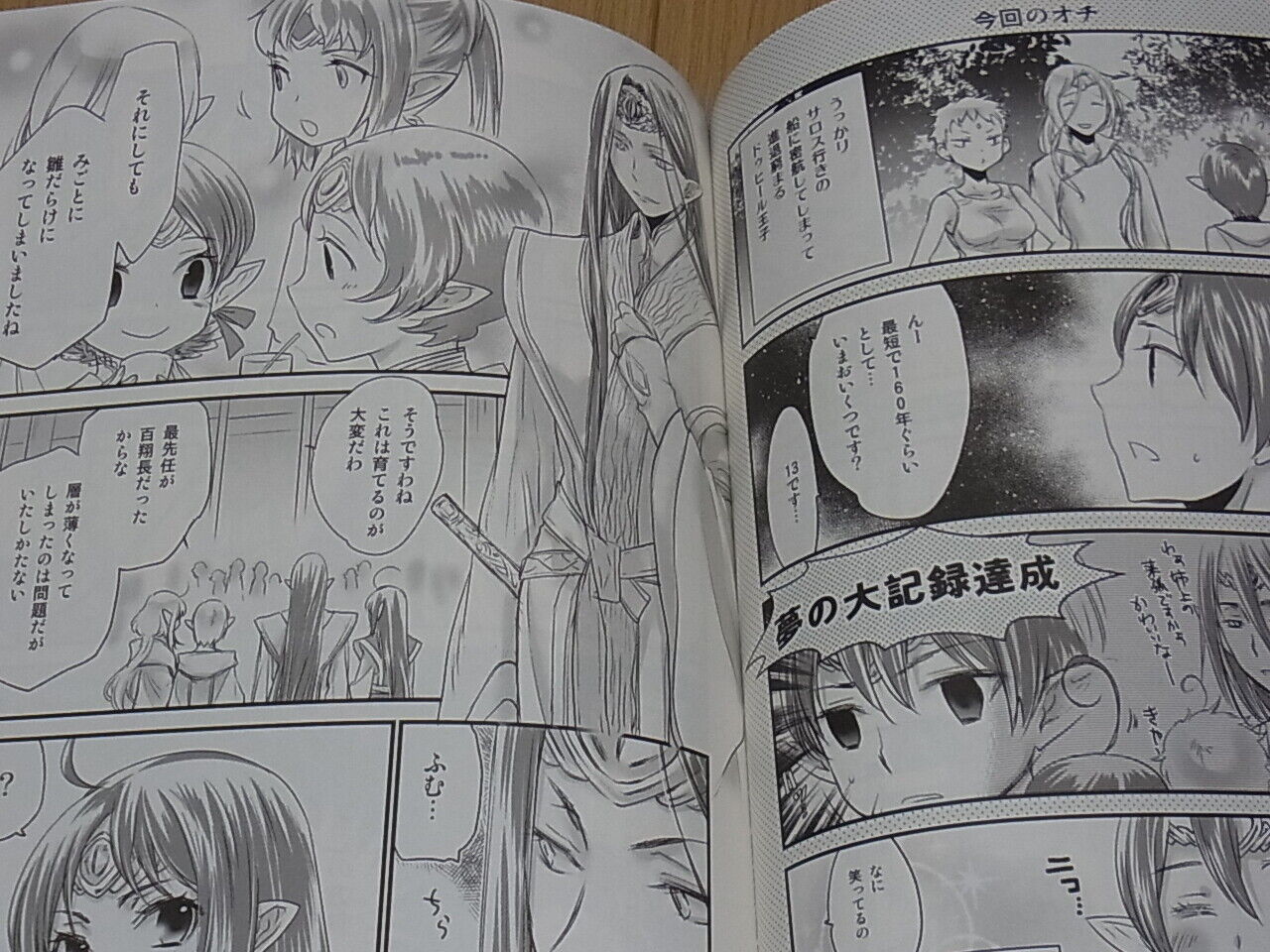 Minks Seikai no Senki Fan Doujinshi CARSARH GEREULACR 27 