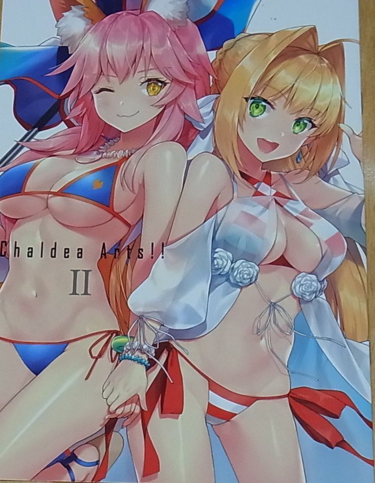 Kagachisaku Fate FGO Color Bikini Fan Art Doujinshi Chaldea Arts!! 2 C94 