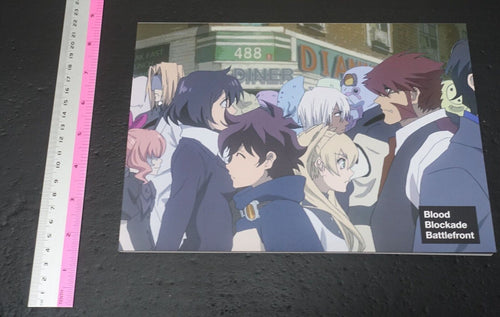 Tatsuya Miki Blood Blockade Battlefront Animation Staff's Fan Art Book 