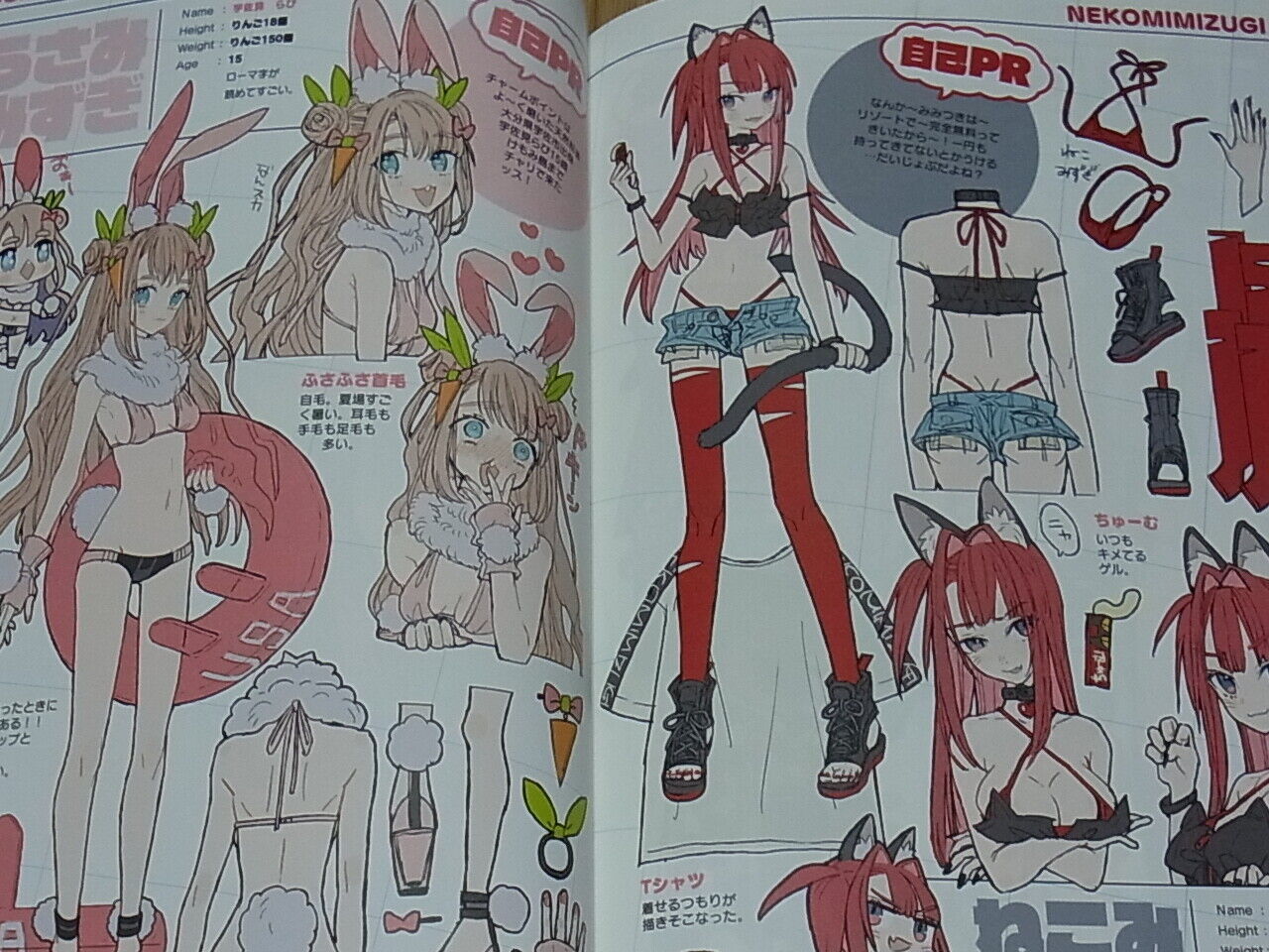 WADA ARCO RCOWADA Beast Ear Girls Swim Suit Color Art Book Kemomimizugi3 C96 