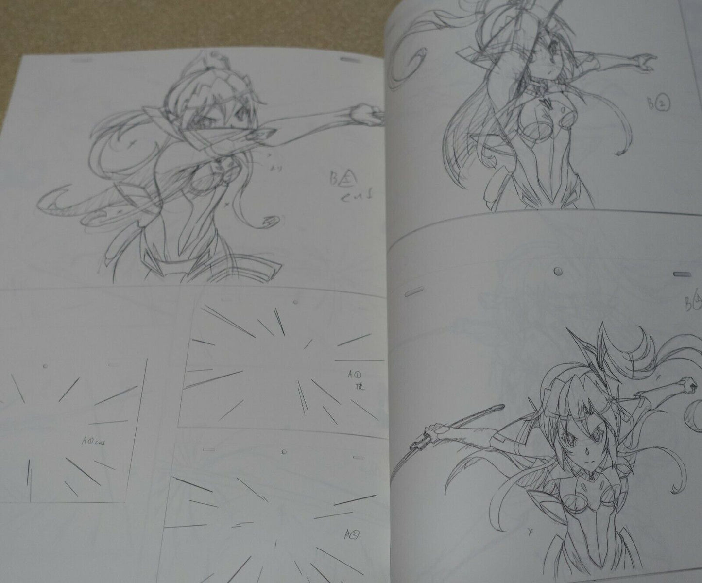 Anubebdi Senki Zesshou Symphogear Key Frame Art Collection Hanyu Rough 03 
