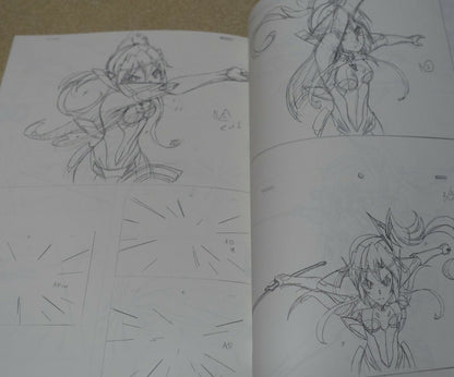 Anubebdi Senki Zesshou Symphogear Key Frame Art Collection Hanyu Rough 03 