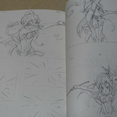 Anubebdi Senki Zesshou Symphogear Key Frame Art Collection Hanyu Rough 03 