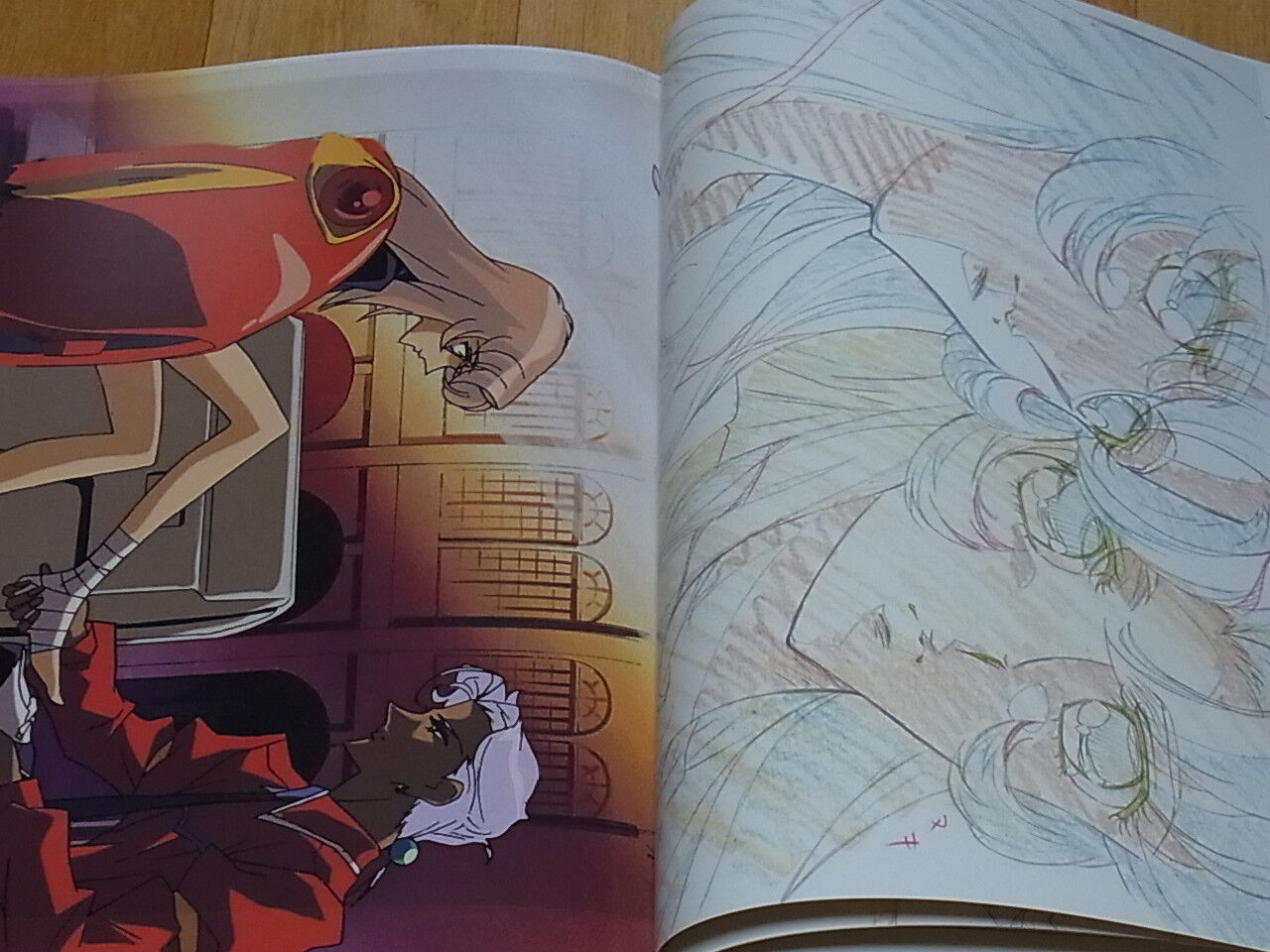 REVOLUTIONARY GIRL UTENA Hard Core Art Books Set total 440page – q