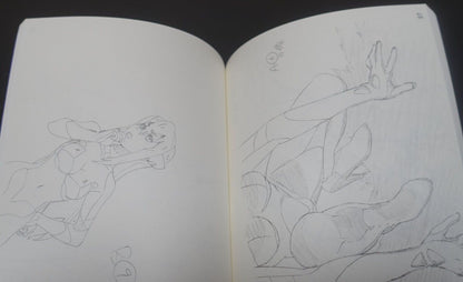 Birdy the Mighty DECODE Key Frame Art Flip Book Tetsuwan Birdy 