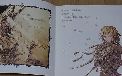 Raita Kazama Fate Grand Order FGO Jeanne d'Arc Color Fan Art Book Deep Dream 