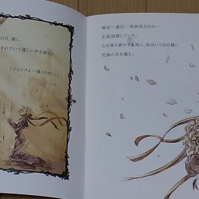 Raita Kazama Fate Grand Order FGO Jeanne d'Arc Color Fan Art Book Deep Dream 