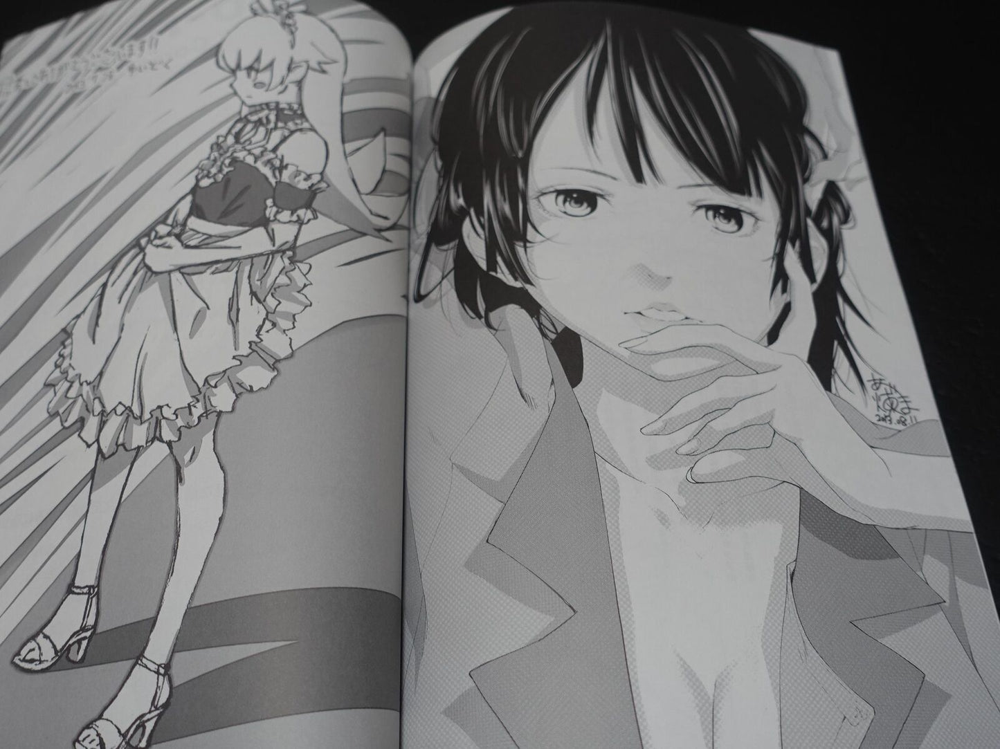 Yataneko Bakemonogatari Animation Staff's Fan Art Book 2 Set 