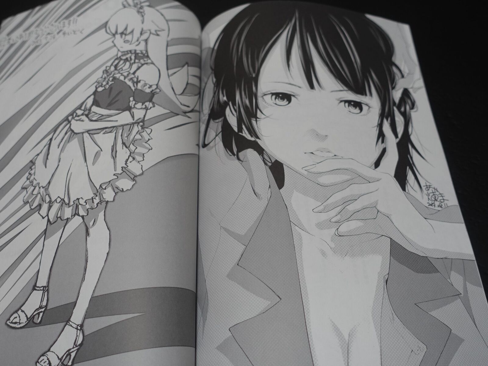 Yataneko Bakemonogatari Animation Staff's Fan Art Book 2 Set 