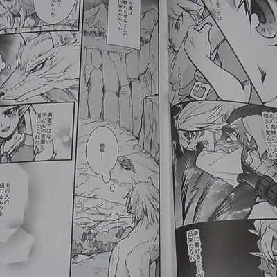 PIKA LEGEND OF ZELDA FAN Doujinshi AFTER MAJORA'S MASK ANTHOLOGY 