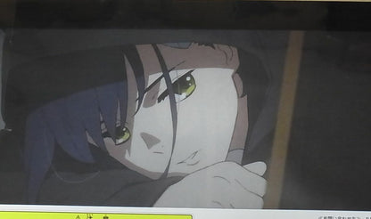 Darling in the Franxx Lottery A4 Size Clear Poster 20 pieces Set 