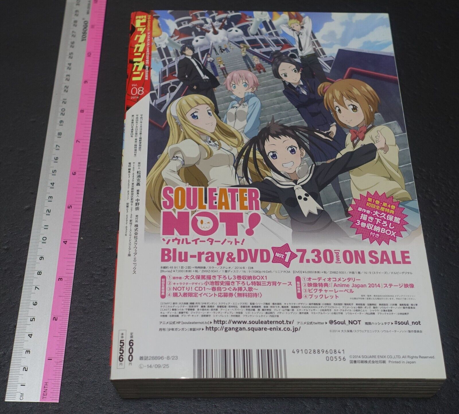 Comic Magazine Gekkan Big Gangan 2014 vol.8 