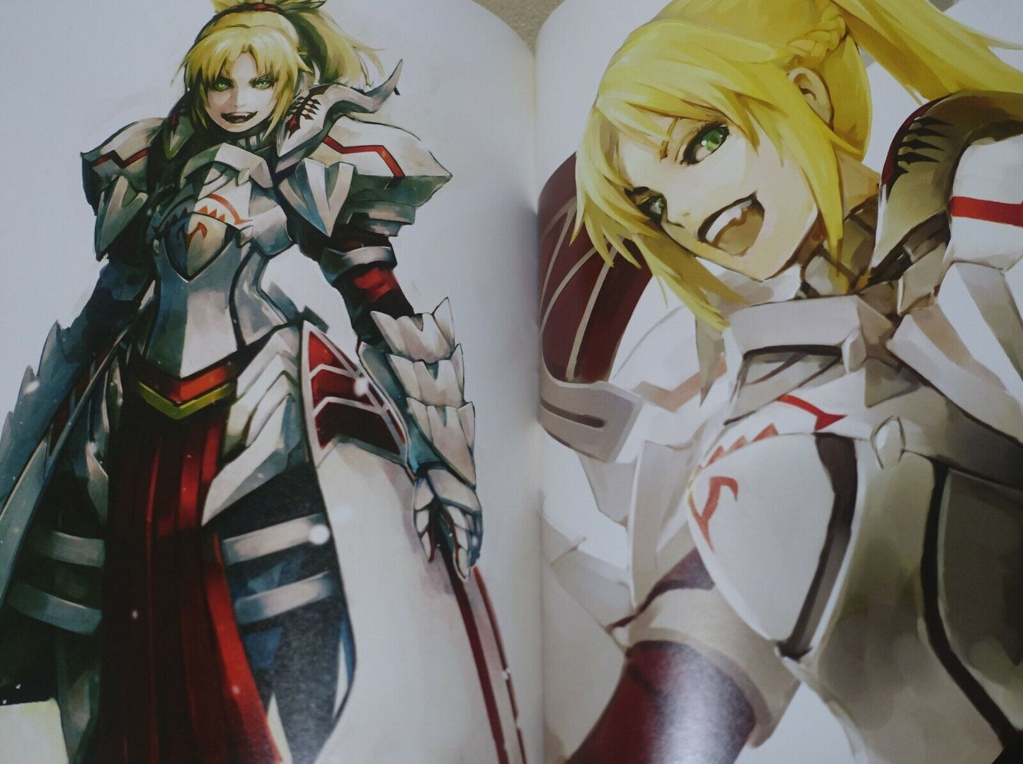 Hige-Aloha HIRONOX Fate Grand Order FGO Color Fan Art Book DRAW 