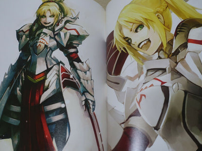 Hige-Aloha HIRONOX Fate Grand Order FGO Color Fan Art Book DRAW 