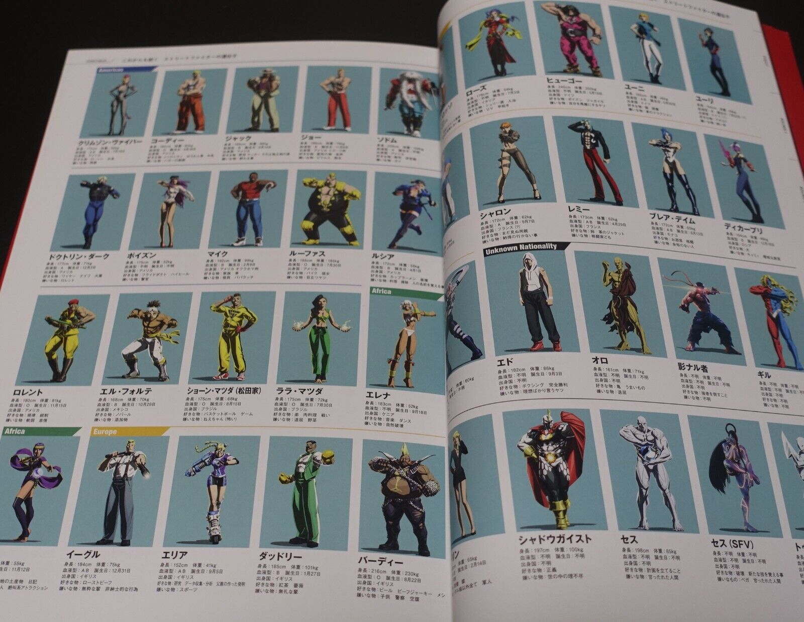 STREET FIGHTER 35th Aniv Exhibition Event Art Book 