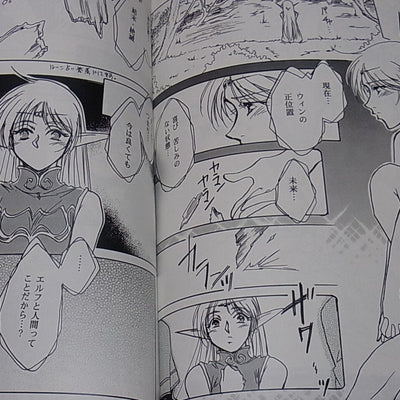 Lecord of Lodoss War Fan Doujinshi Anthology We Love Lodoss! 2 