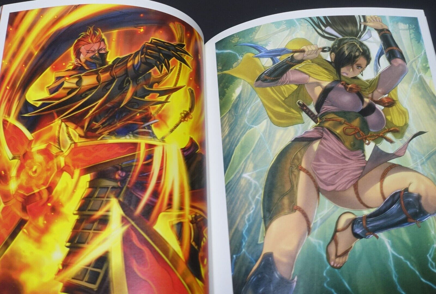 Fire Emblem 0 Cipher ART WORKS Book Vol.1 & 2 Set 