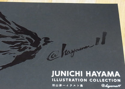 JUNICHI HAYAMA ILLUSTRATION COLLECTION 156page 