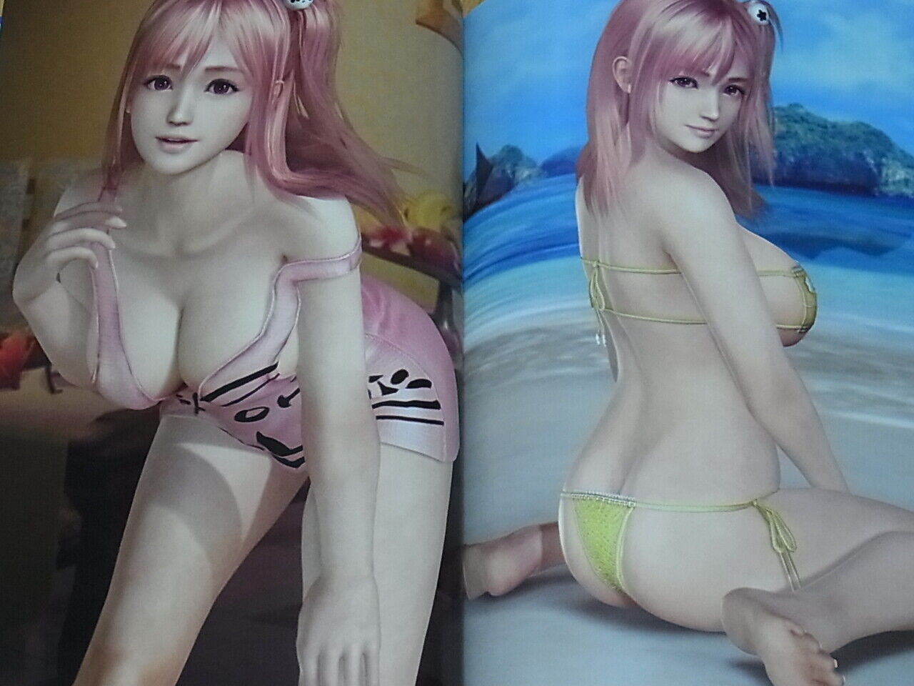 Dead Or Alive Xtreme 3 Photogravure Visual Art Book Fortune & Venus Set xtreme3 