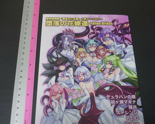 Kurobinega Monster Girl Encyclopedia Japanese Nove Book Fallen Brides 