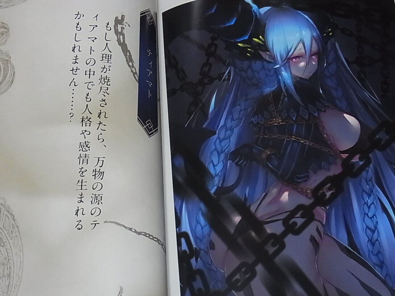 Gravity5 Fate FGO Color Fan Art Book Fate Grand Order Human Extinction 