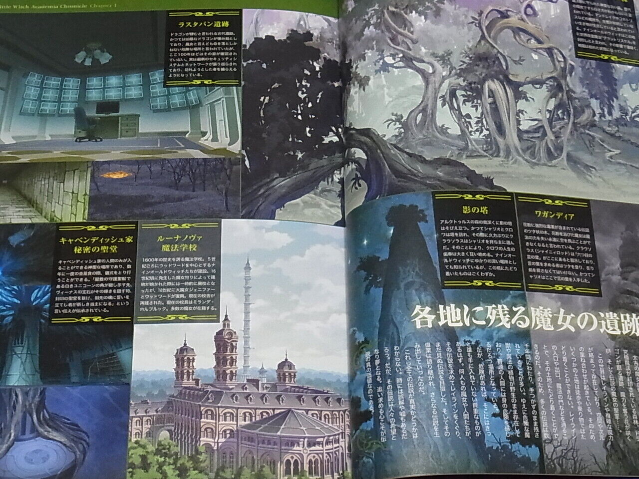 Little Witch Academia Chronicle Yoh Yoshinari 240page 