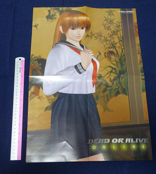 Dead Or Alive Online Ayane & Kasumi Reversible Poster C 