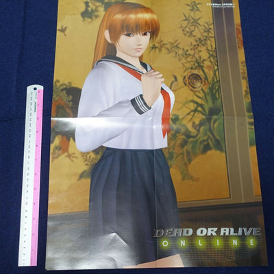 Dead Or Alive Online Ayane & Kasumi Reversible Poster C 