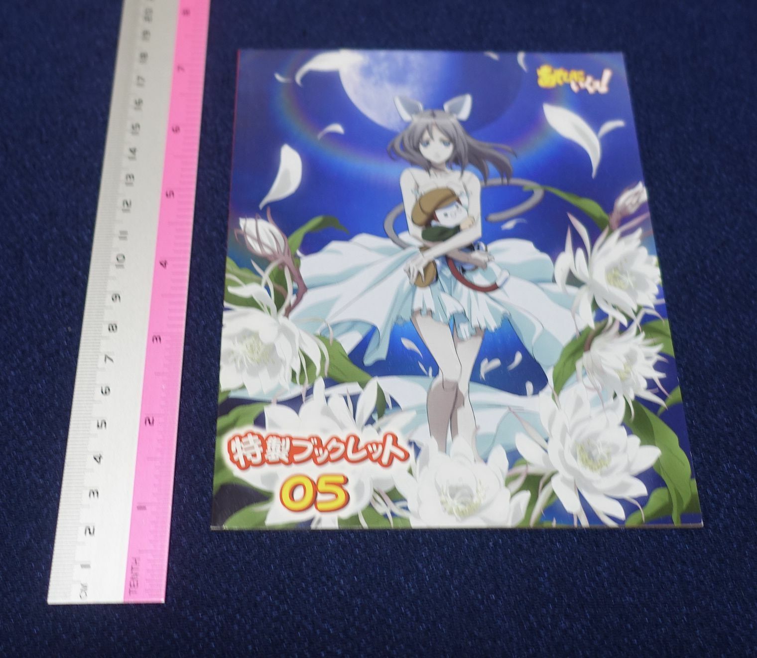 Asobi ni Iku yo! Special Booklet Vol.5 