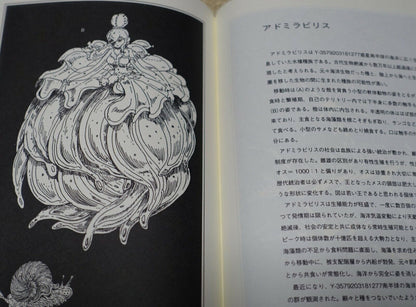 Haruko Ichikawa Houseki no Kuni Land of the Lustrous Vol.11 with Picture Book 