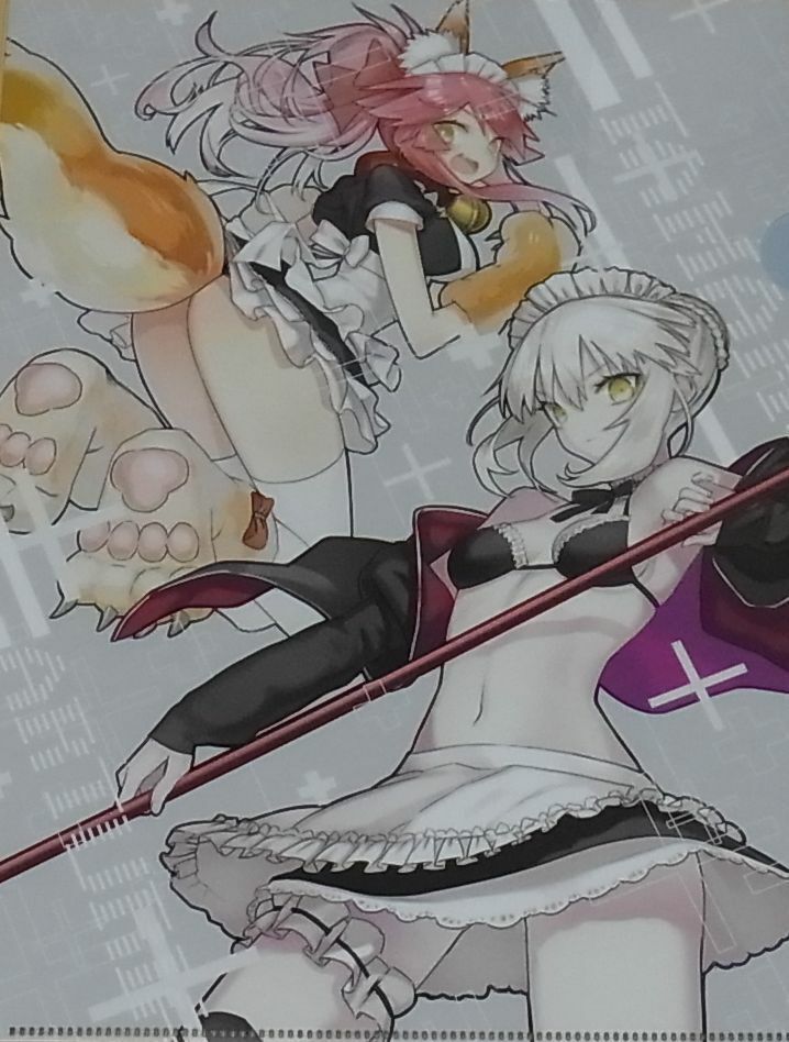 Minsgraph Fate FGO Illustration Fan Art Clear File 