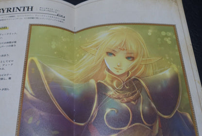 Record of Lodoss War Deedlit in Wonder Labyrinth Special Book 