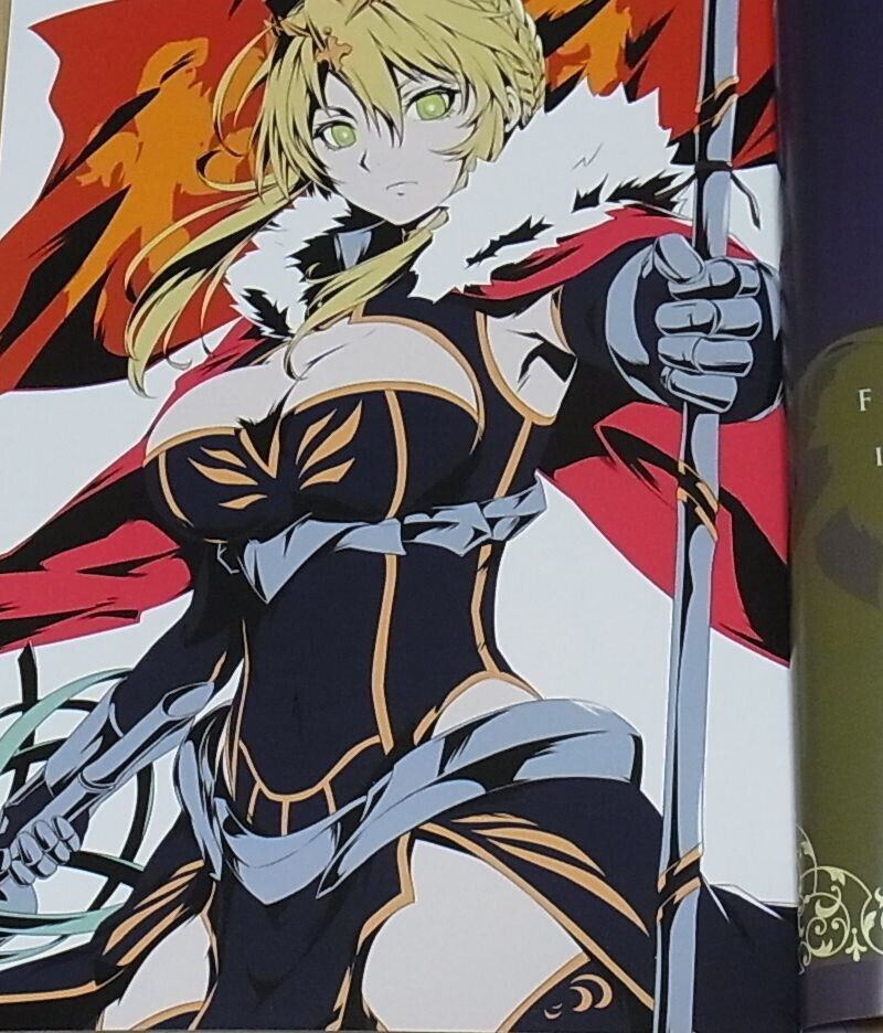 Sakiyamama Fate Grand Order FGO Color Fan Art Book SAKIYAMAMA GRAND ORDER 1.0 
