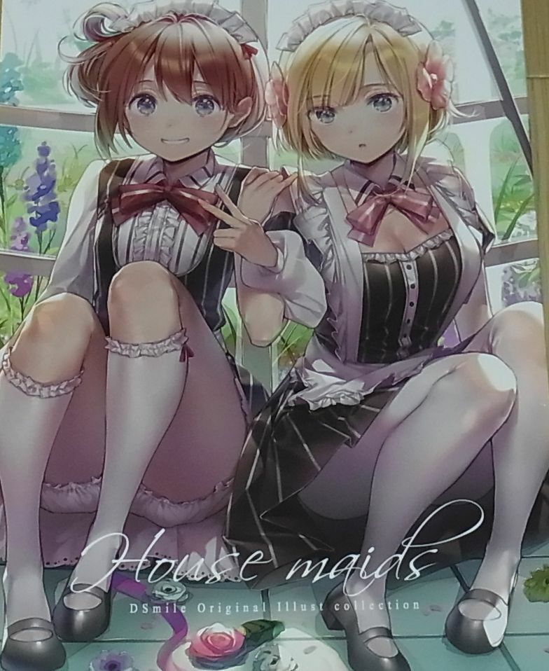 DS mile Original Color Art Book House Maids 