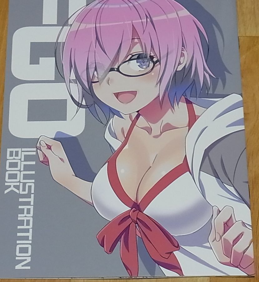 Now Printing! Fate FGO Color Illustration Fan Art Book FGO Illustration Book C93 