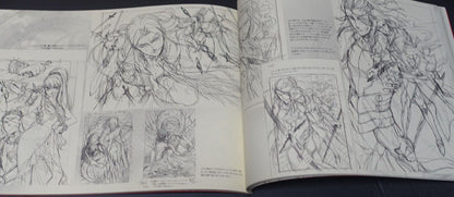 Saori Toyota The Legend of the Legendary Heroes Character Designer's Pen Drawing 