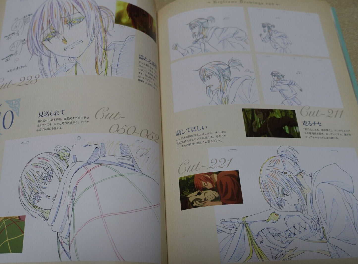 WIT STUDIO The Ancient Magus Bride Mahou Tsukai no Yome TV Animation Works 3rd 