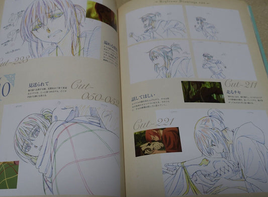 WIT STUDIO The Ancient Magus Bride Mahou Tsukai no Yome TV Animation Works 3rd 