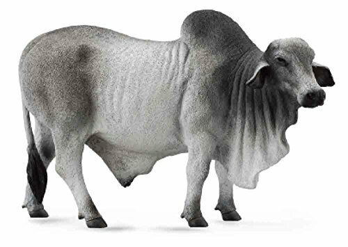 CollectA 88579 Grey Polled Brahman Bull 