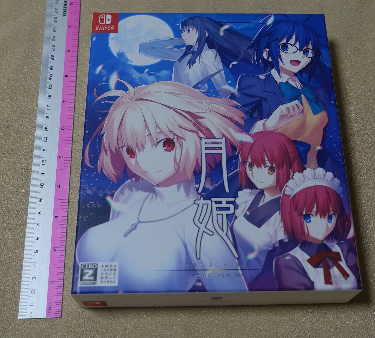 Japanese Nintendo Switch Tsukihime A piece of blue glass moon Limited Edition 