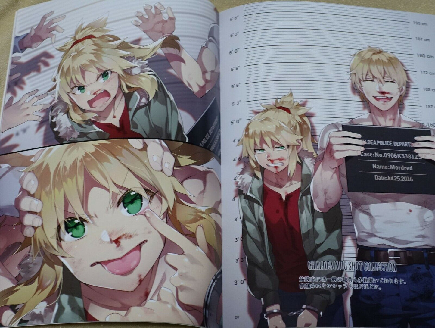 ReDrop Fate FGO Color Fan Art Book FGO Illustrations 1-6 Complete Set 