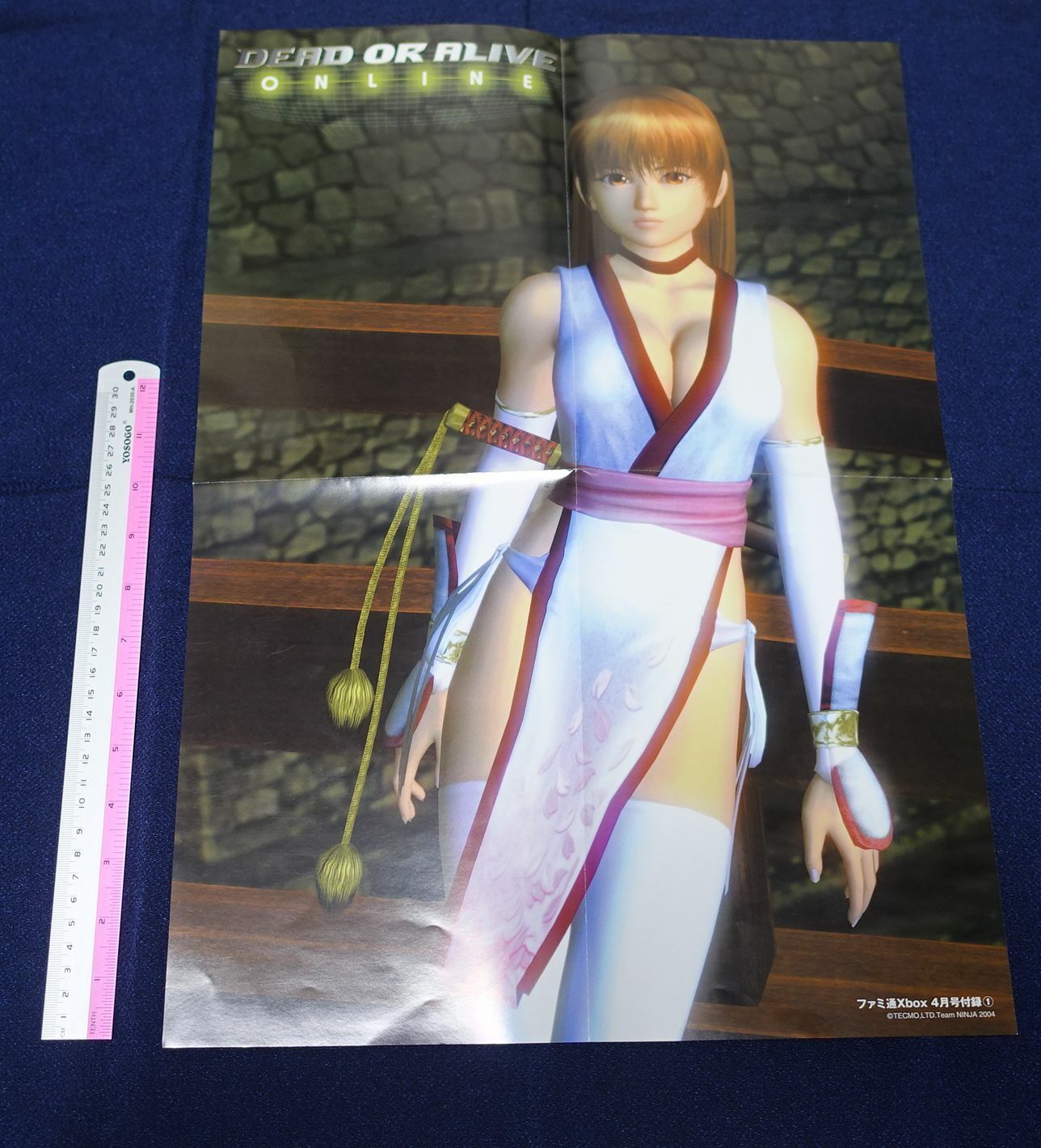 Dead Or Alive Online Ayane & Kasumi Reversible Poster A 